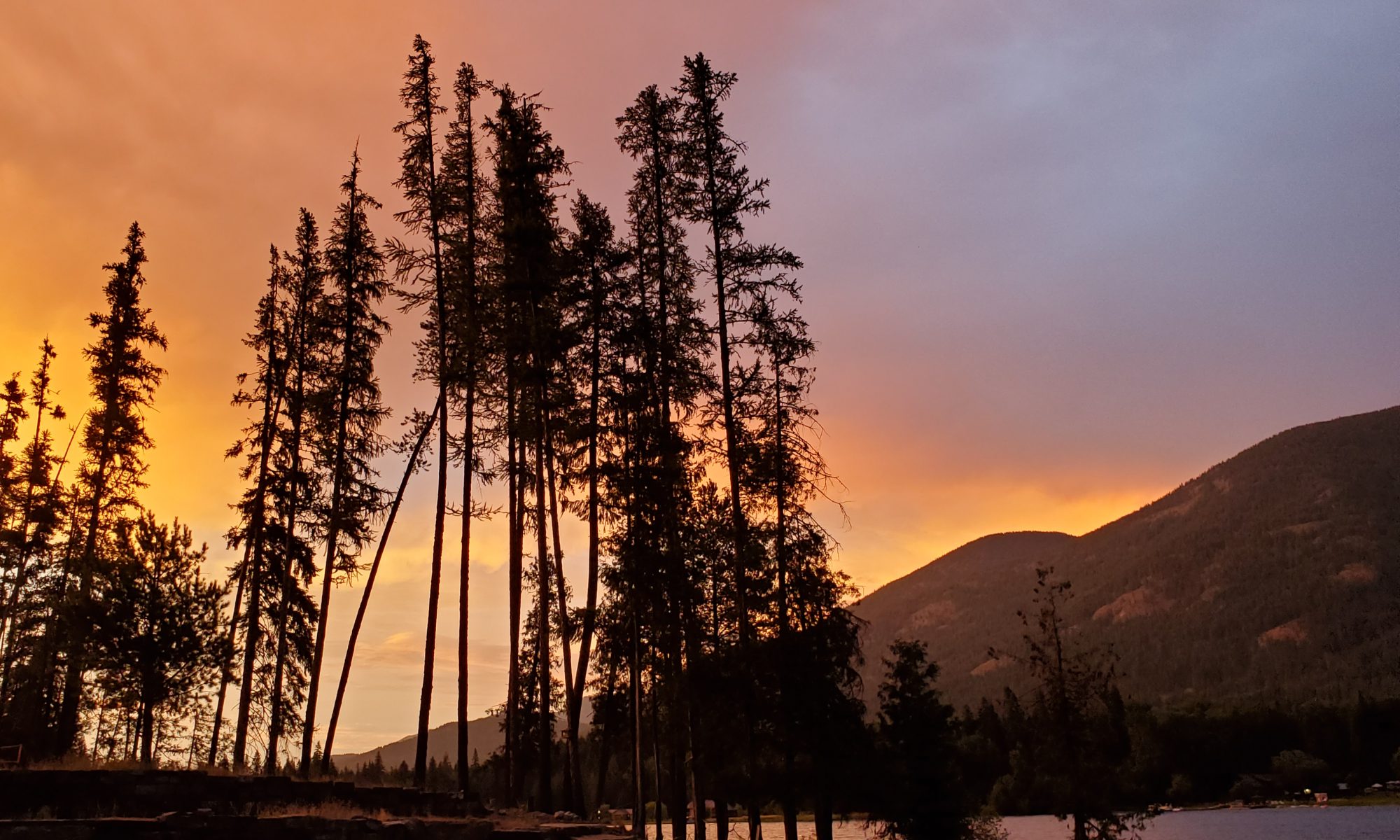 Scenic Montana Sunset